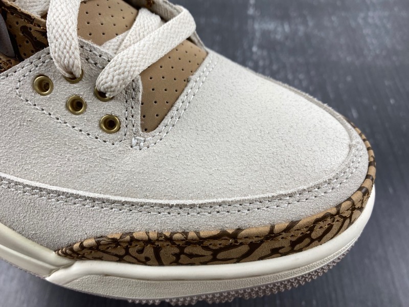 Air Jordan 3 “Palomino”