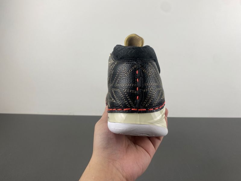 Titan x Air Jordan 23