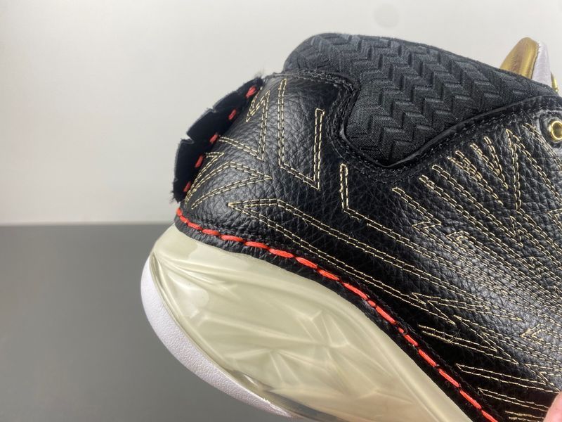 Titan x Air Jordan 23