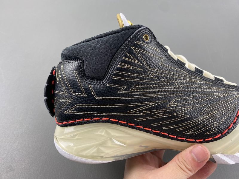 Titan x Air Jordan 23