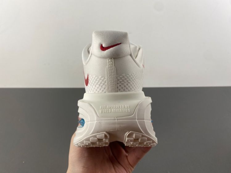 NIKE Pegasus Premium