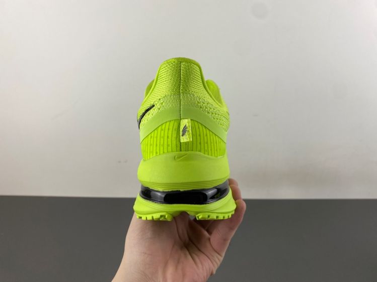 Nike Pegasus Premium