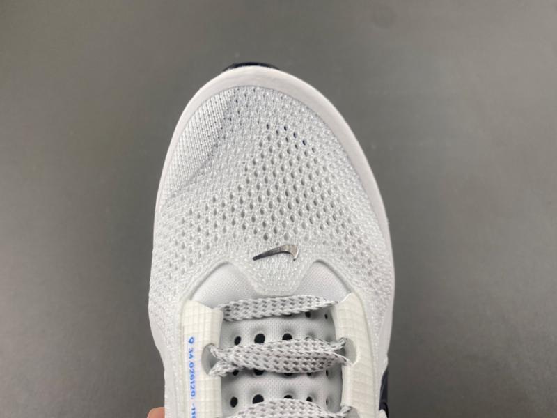 Nike Pegasus Premium