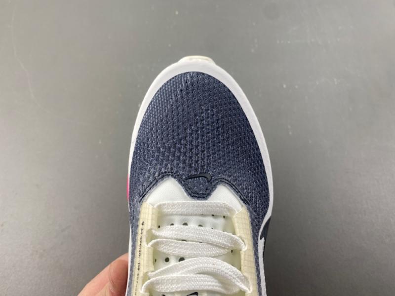 NikeNike Pegasus Premium