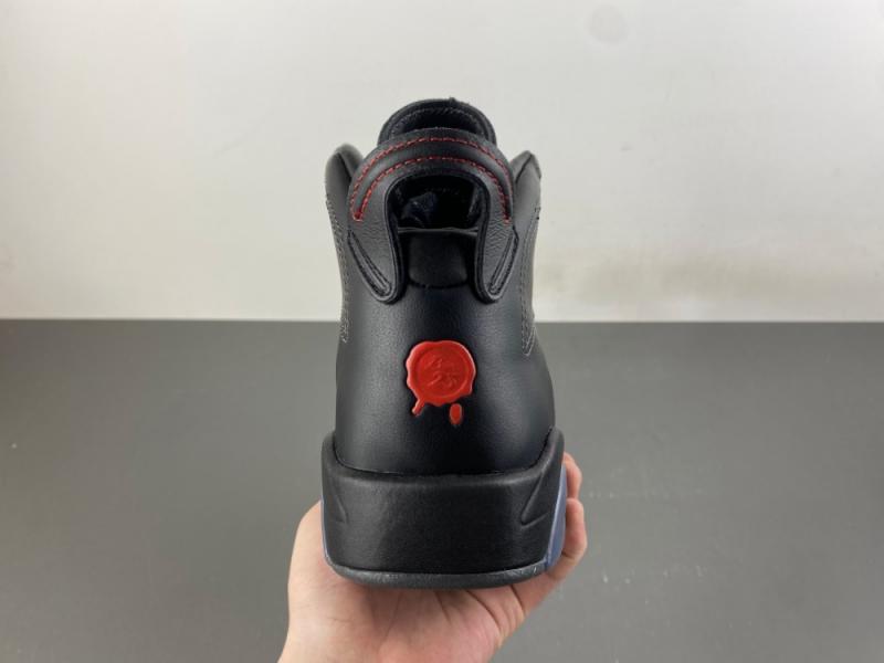 Air Jordan 6 Premio “BIN 23