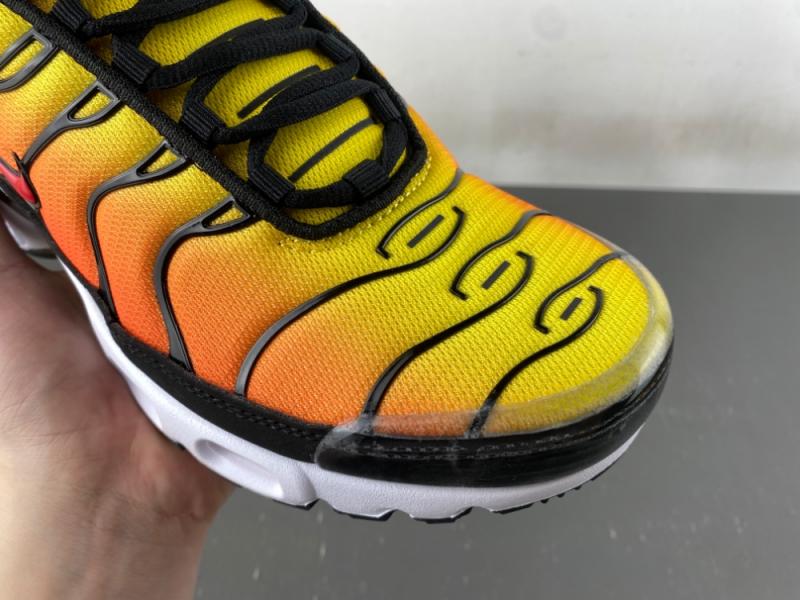 Air Max Plus“