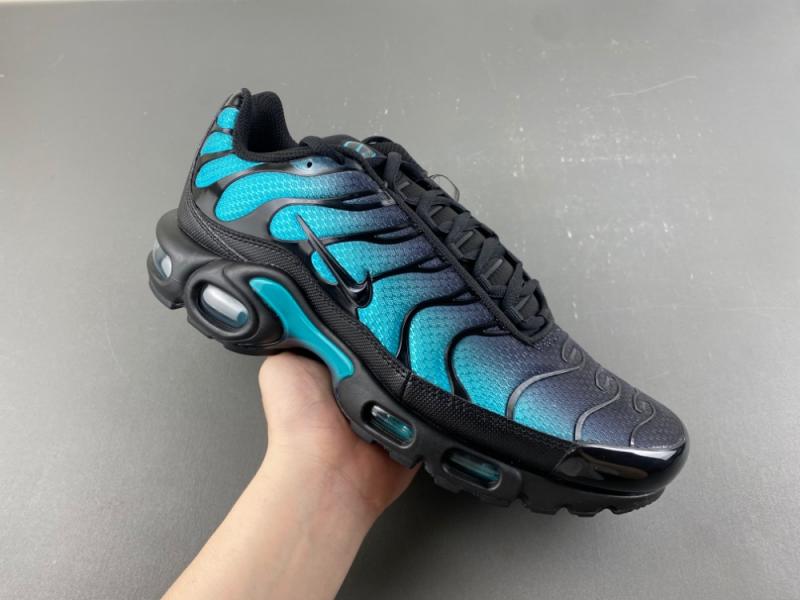 Nike Air Max Plus 'Black Dusty Cactus'