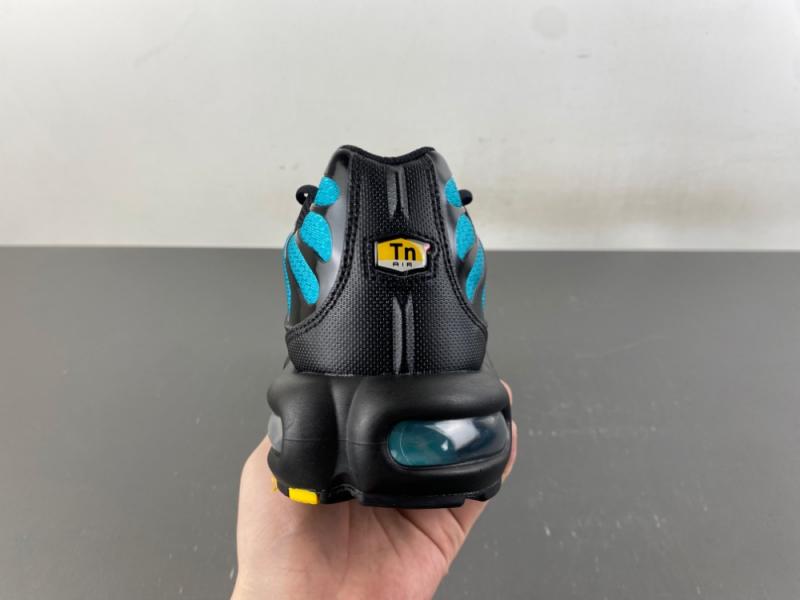 Nike Air Max Plus 'Black Dusty Cactus'