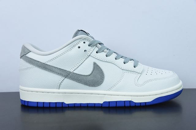 Nk Dunk SB Low