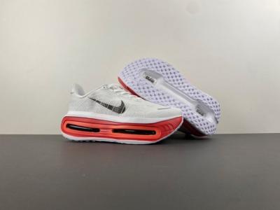 NIKE Pegasus Premium