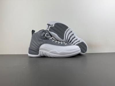 Air Jordan 12 STEALTH